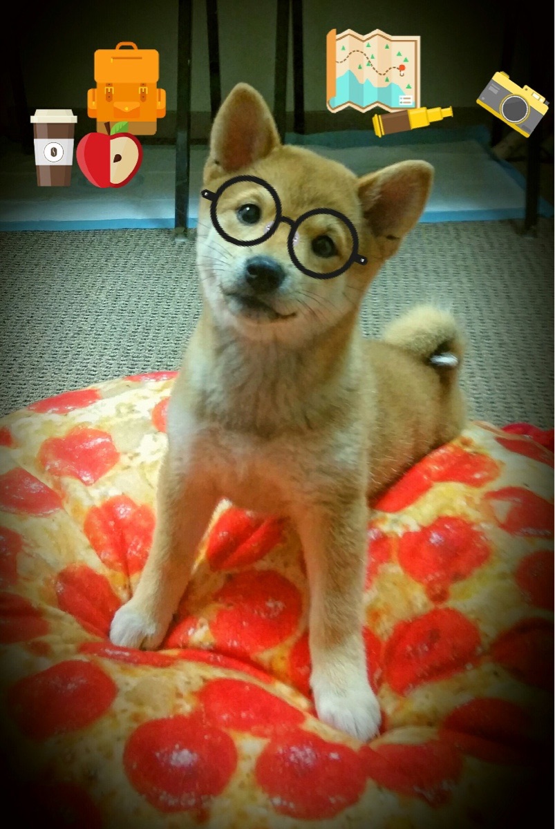 _勇士队三分雨持续,比赛胜利可期_,勇士队三分球纪录