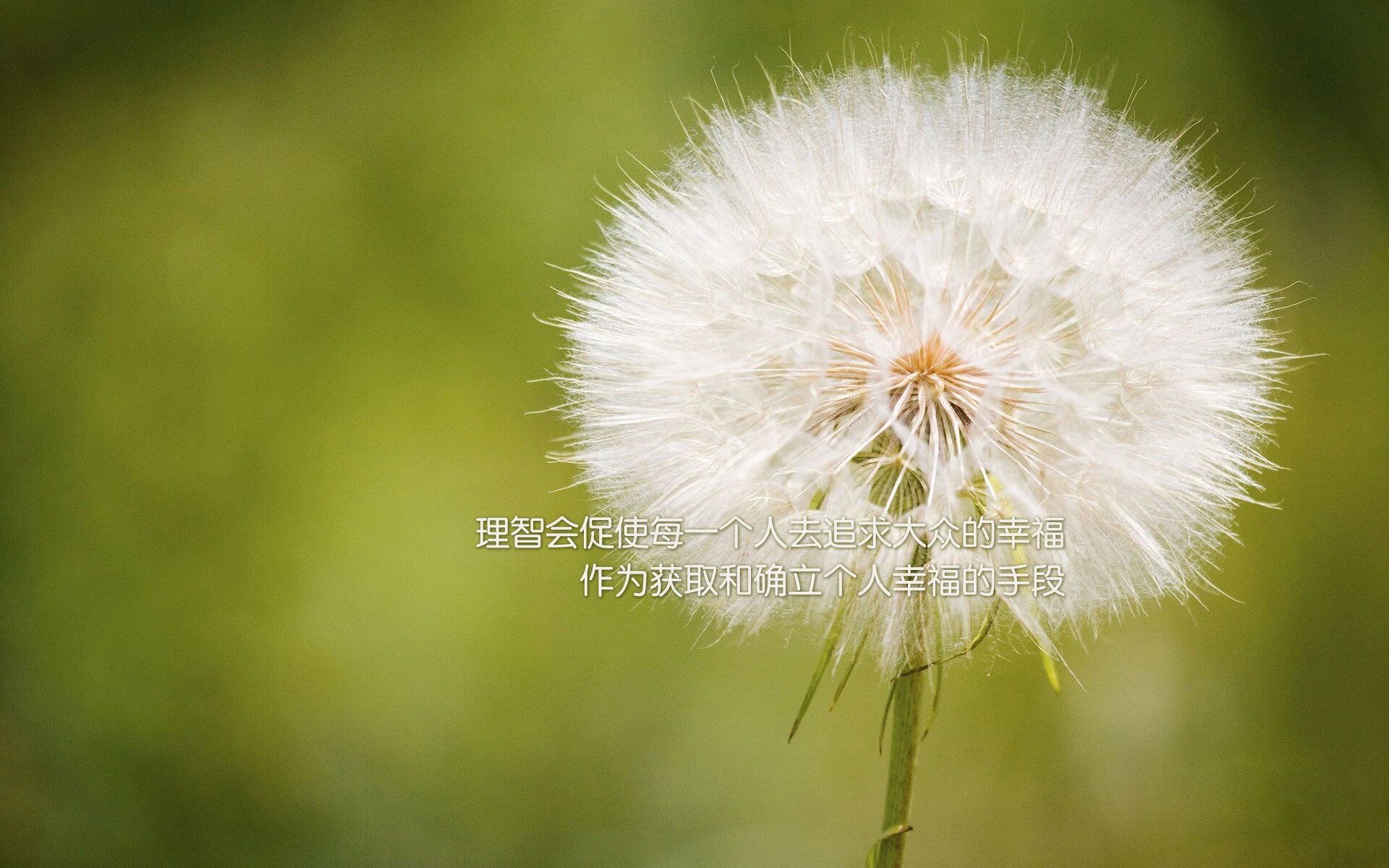 乐鱼电竞在线平台-《Valorant青春风暴，天才战队逆袭夺冠》