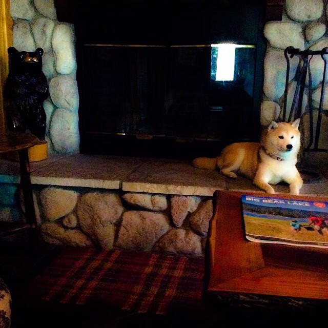 利兹联再迎重要胜利,稳固保级底线,利兹联官推