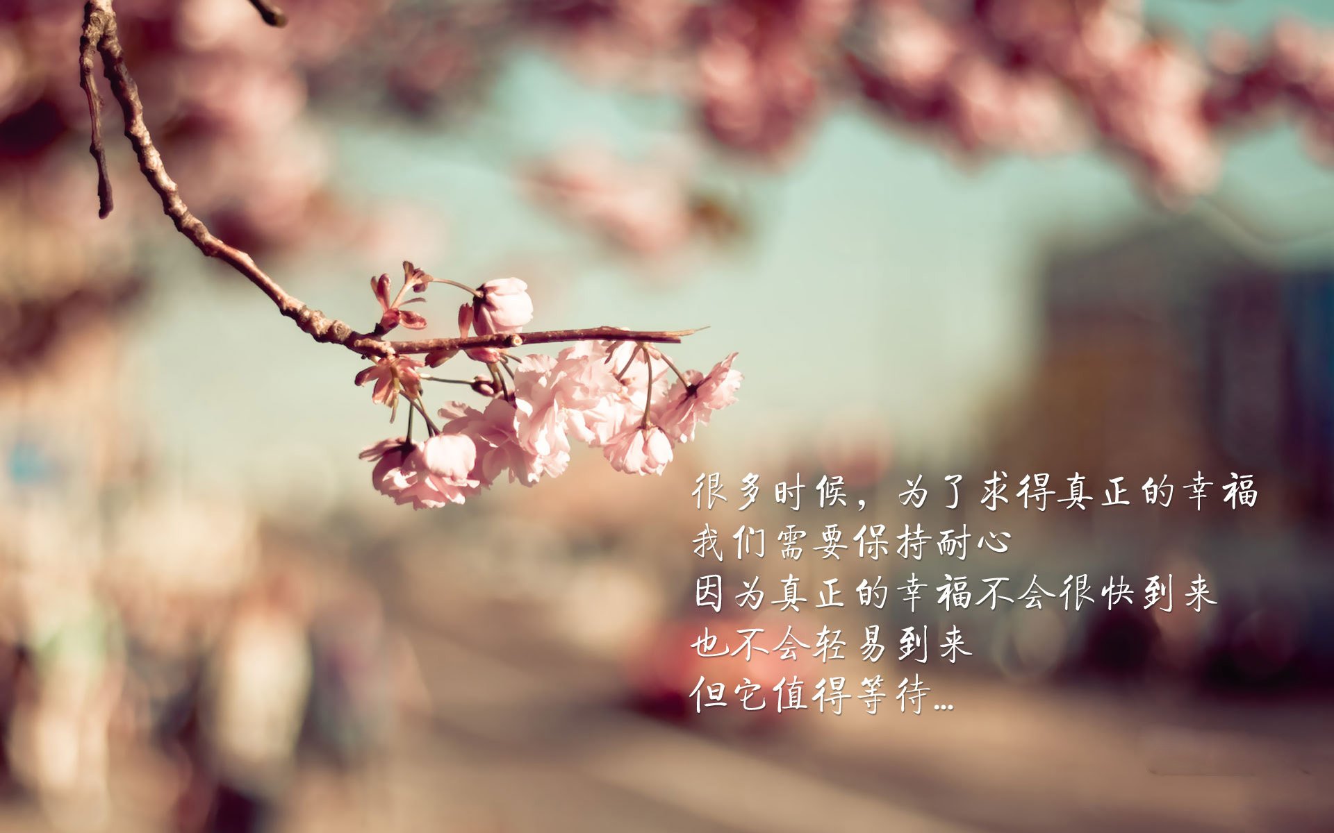 APP下载 LY Sports-在与雷霆的大战中，他连续多次封堵对手破篮，包括多次阻止“空中飞人”的扣篮！