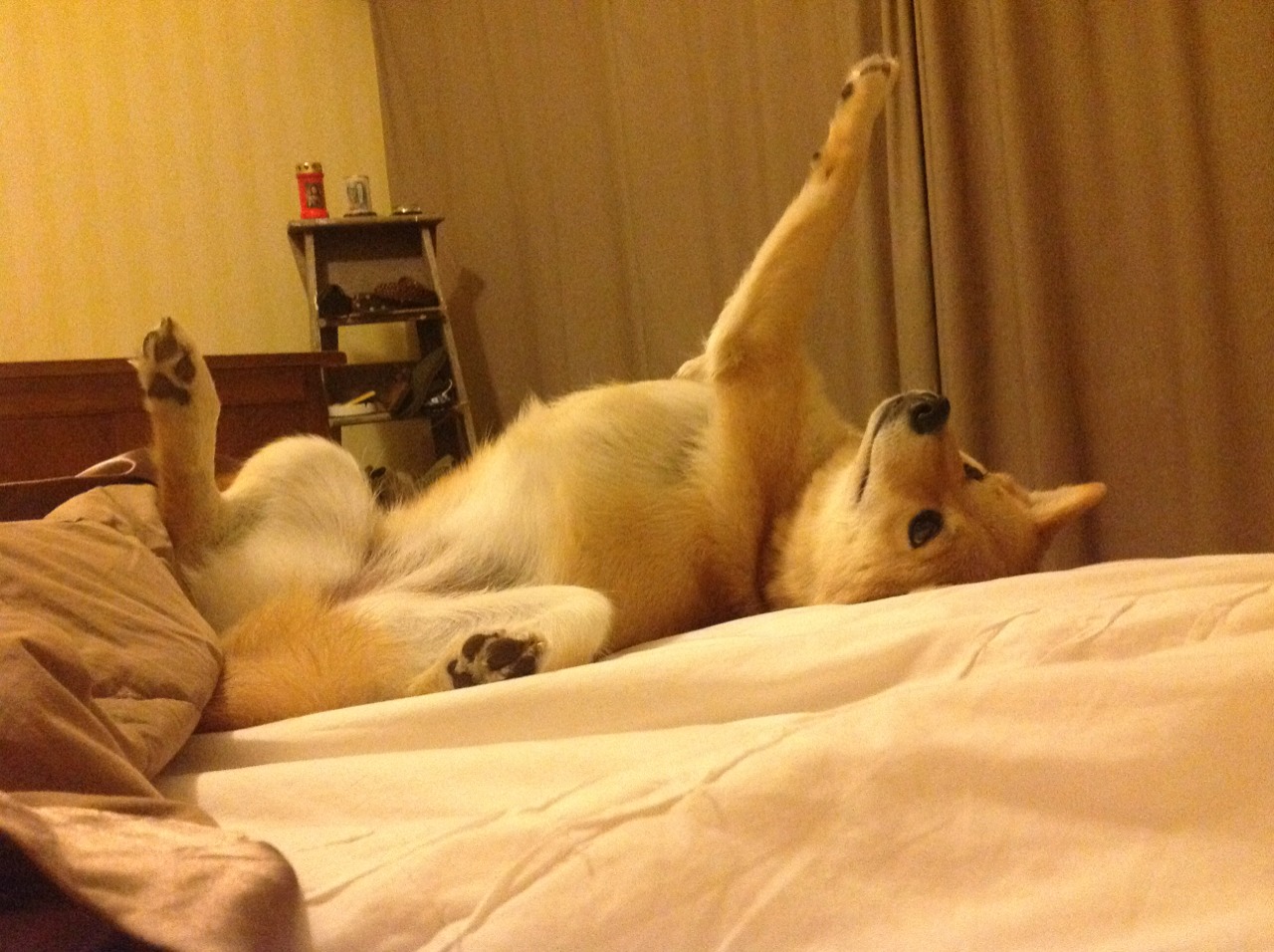 战绩对比:排名前十球队的优势分析,球队实力对比