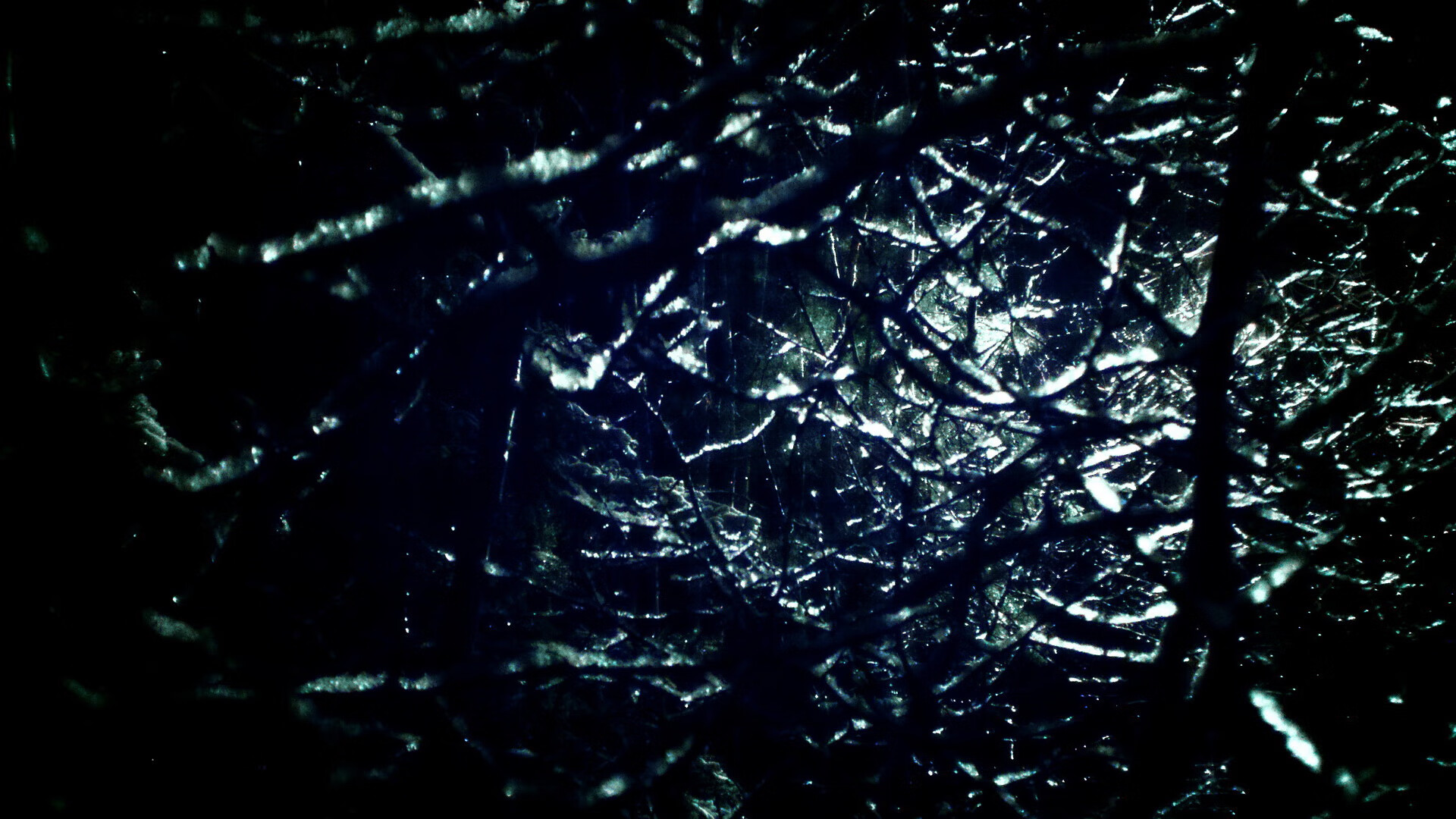 Leyu Sport下载-水上摩托挑战：乘风破浪的极致体验，水上摩托表演视频