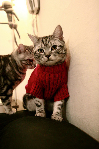 球员转介绍：谁将在未来五年内成为联盟领袖？，2020年球员转会