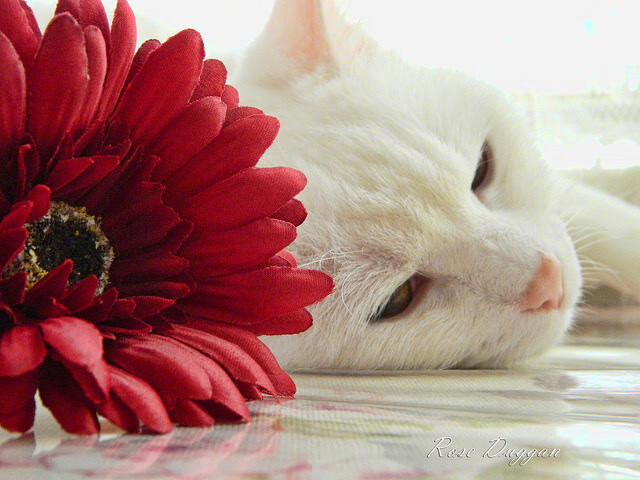 赛后采访:李明感谢团队每个人的努力,目标更高!,给李明的感谢信