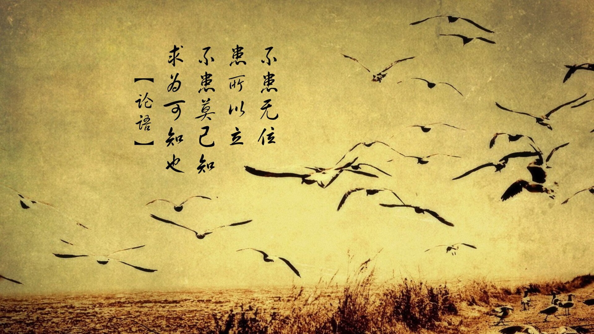 Leyu Sports (乐鱼体育)-青少年篮球“光明行”公益活动提升社会影响力，助推社会责任，篮球进校园公益活动方案