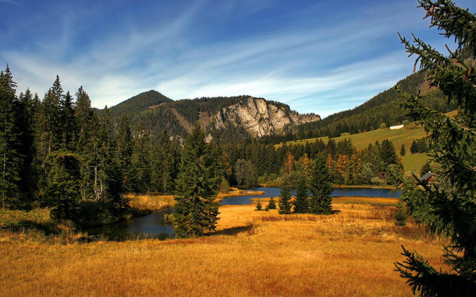 乐鱼电竞-世界女足锦标战激情上演，豪情壮志赛前一切，世界女子足球锦标赛