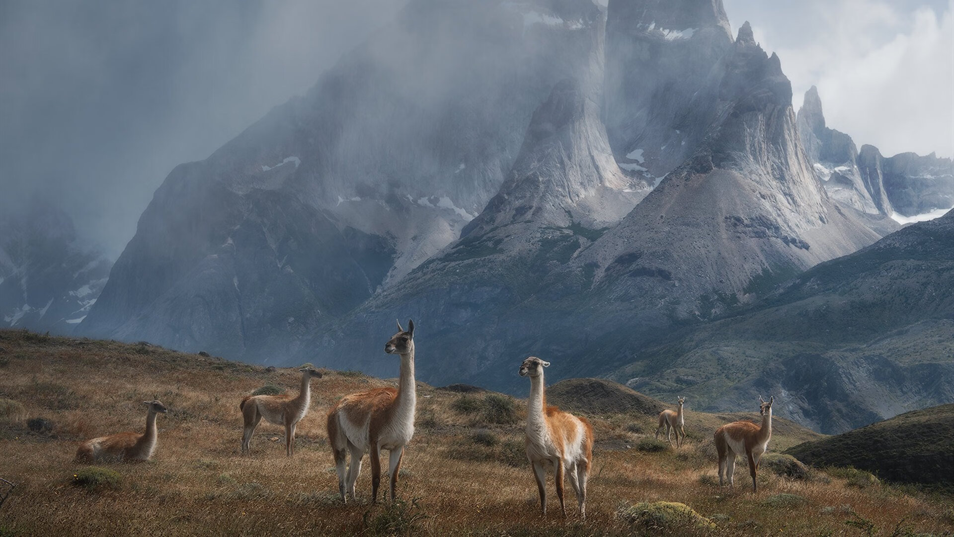 中国在电子竞技项目中表现出色,夺得多枚金牌,电子竞技在中国第二集