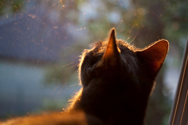 中国沙排组合夺冠,世界巡回赛中表现亮眼,全国沙排巡回赛总决赛直播