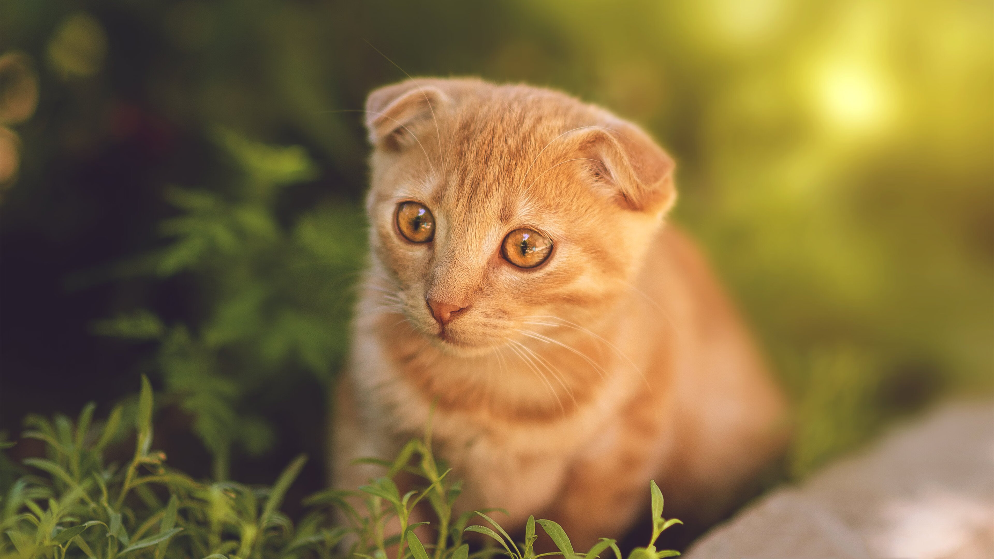 女足比赛球队训练积极,备战临近开启,女足集训开启