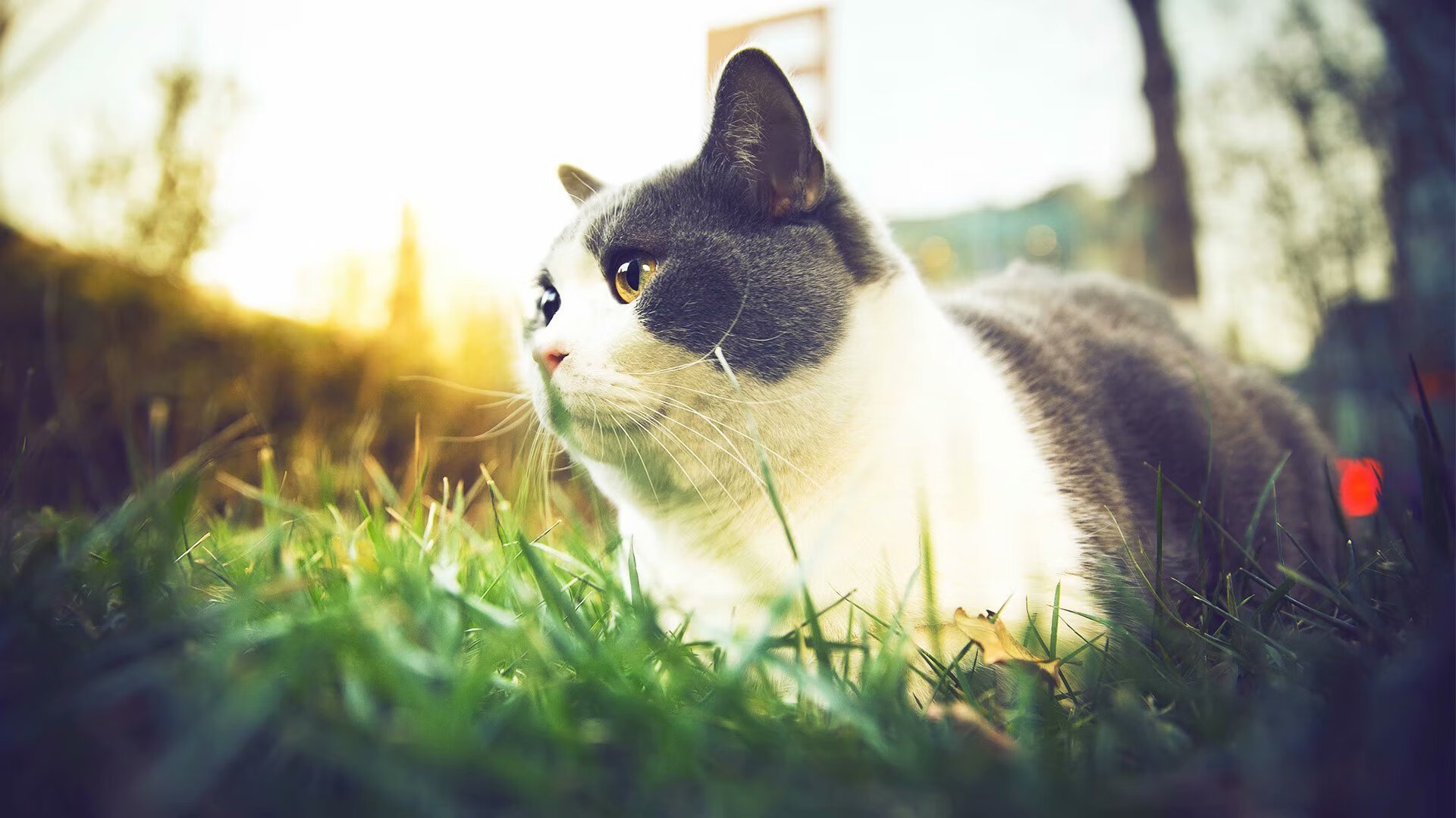 女足世界杯环保理念推广,女足世界杯媒体关注空前,但女性足球记者仍面临障碍