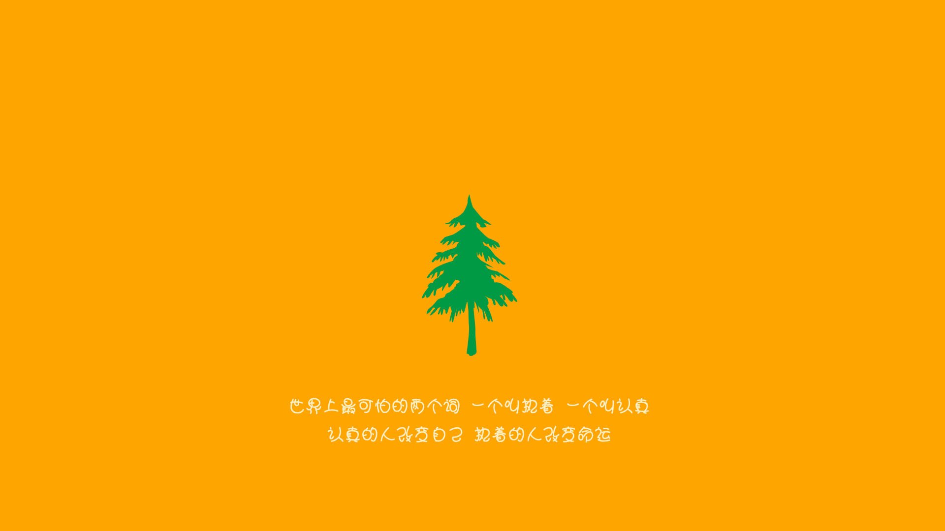 女足世界杯历史回顾展,女足世界杯历史回顾展示