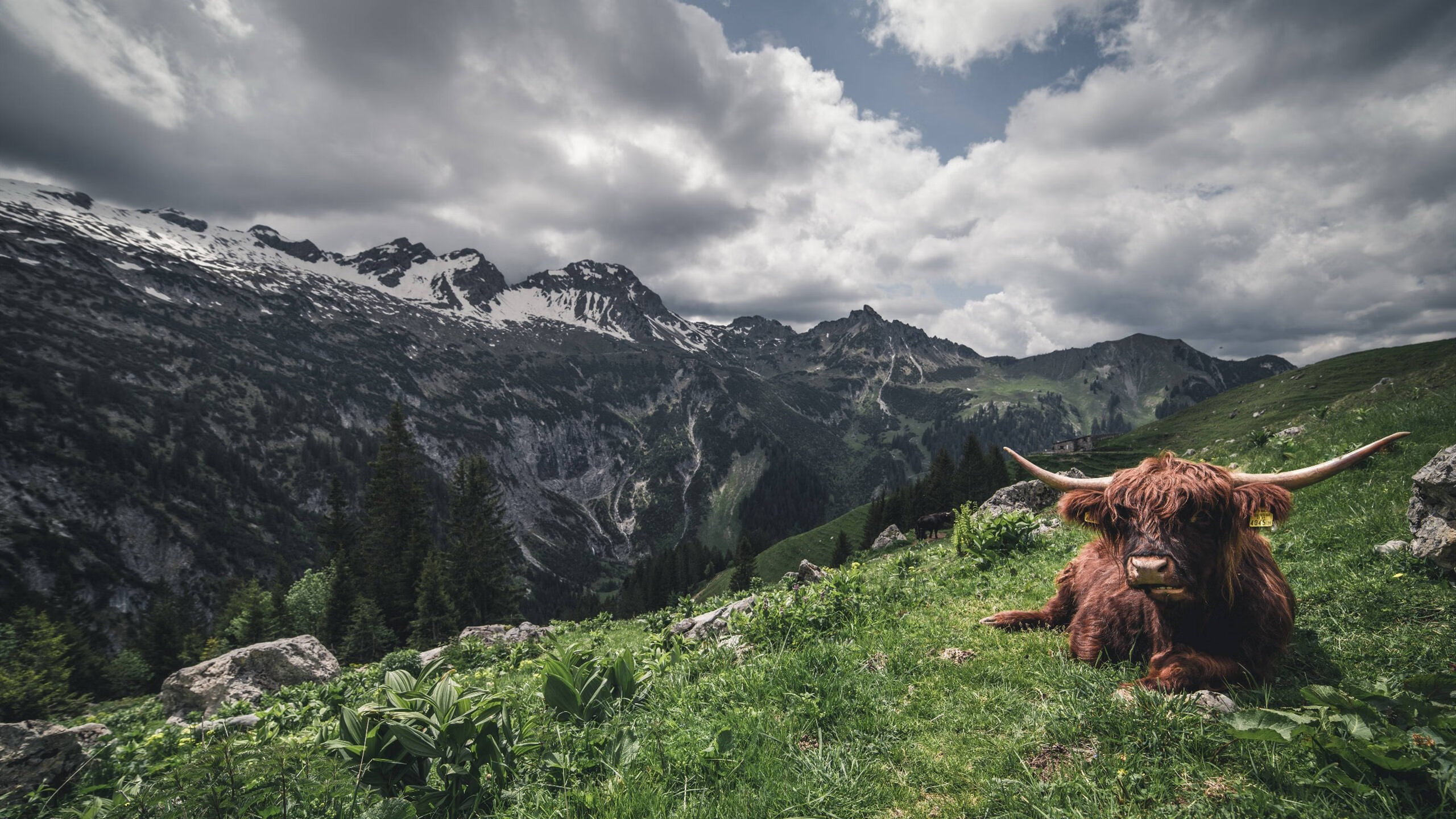 女足世界杯赛后复盘总结,刚刚结束的女足世界杯
