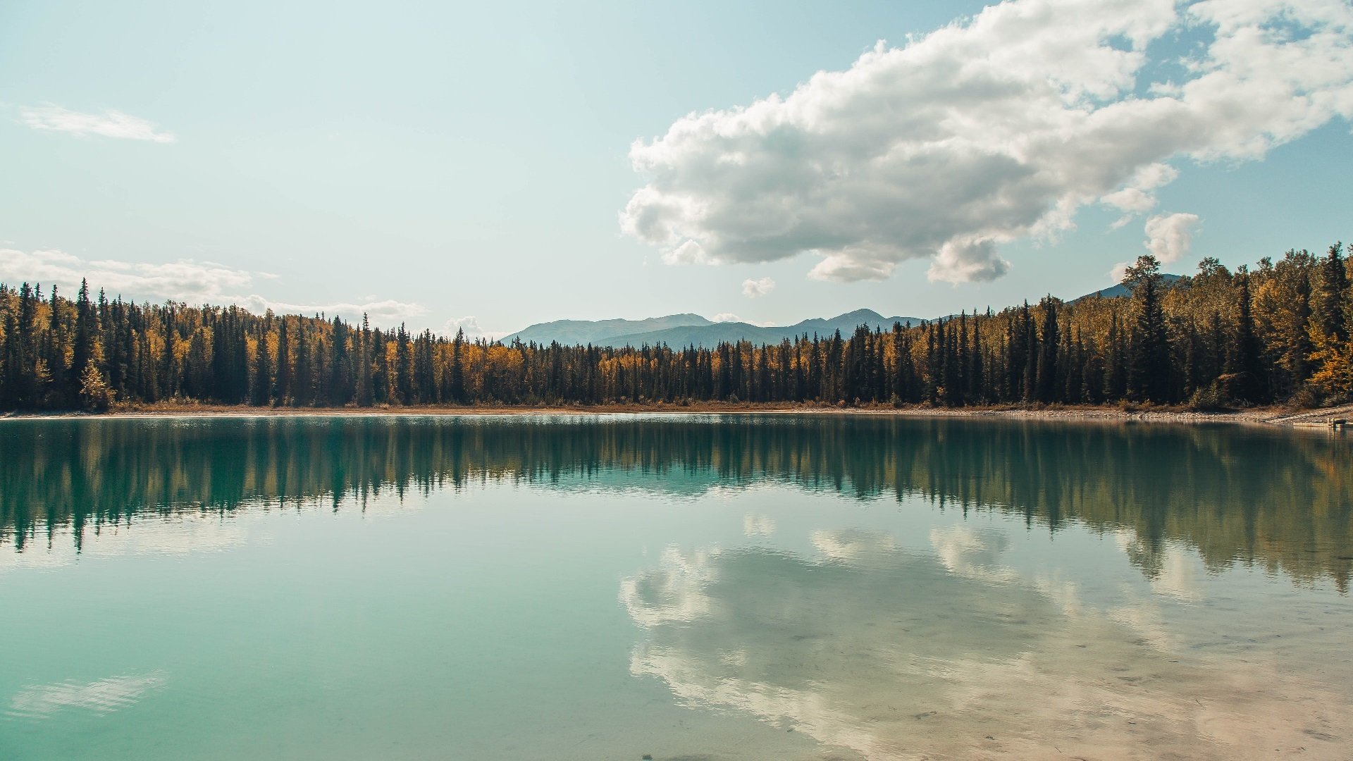 leyu乐鱼体育综合-电竞游戏主播成长路径与成功秘诀，电竞主播的工作内容