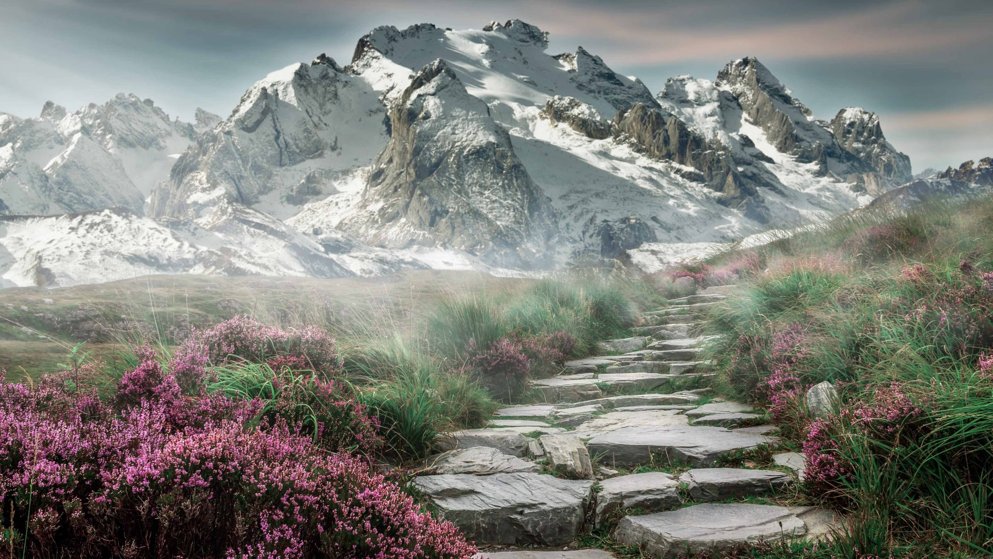 乐鱼娱乐app-美洲赛区新星迅速崛起，美洲赛事