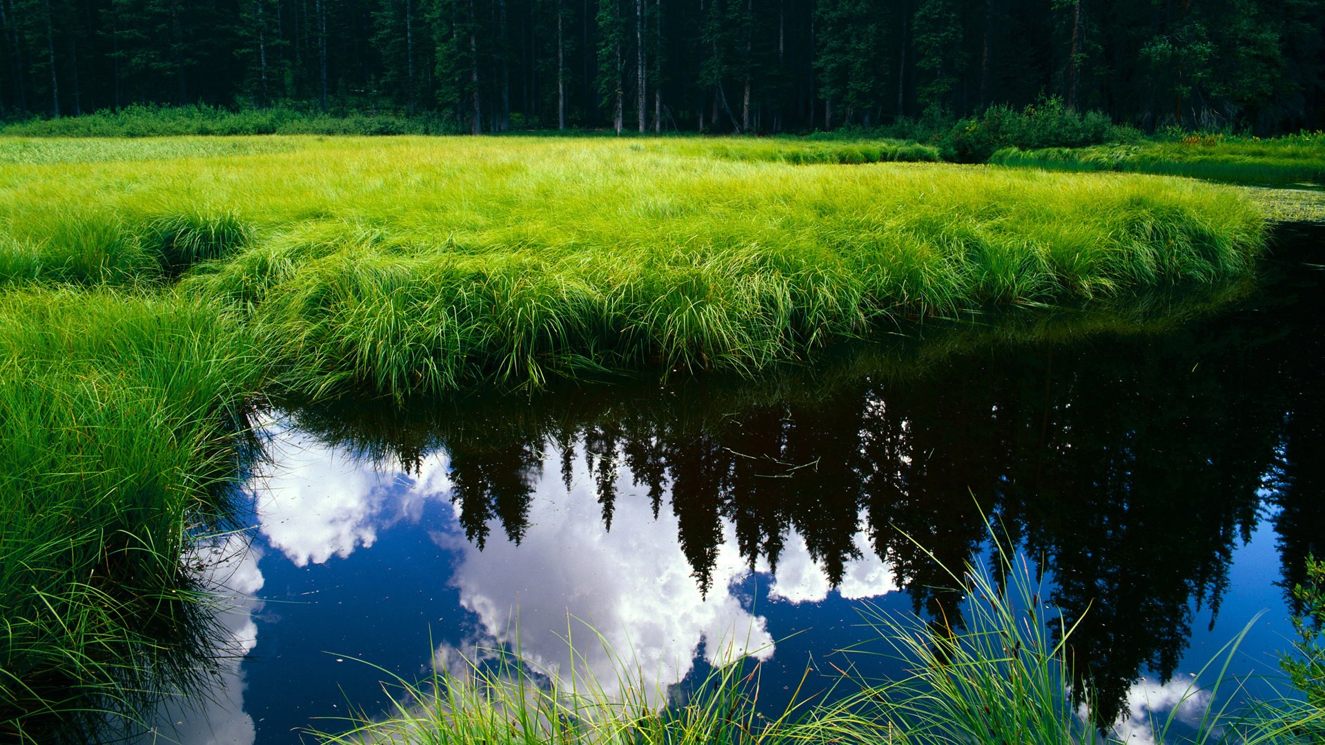 足球赛事转播频道获得更多关注,观众增长迅速,足球比赛转播时间