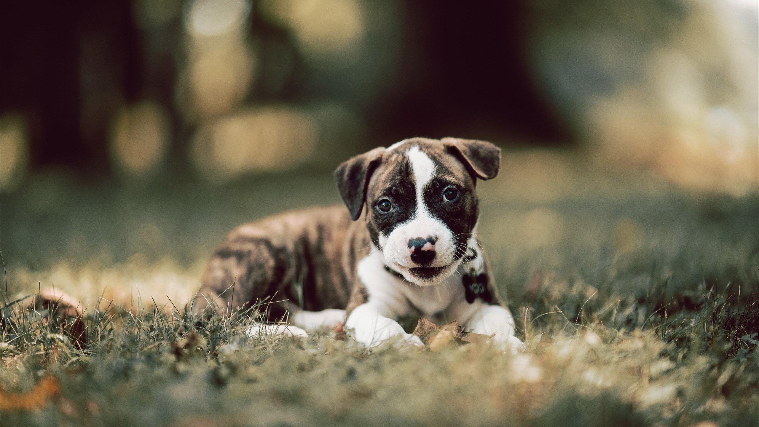 NBA赛季投篮效率提升方法，nba赛季投篮效率提升方法有哪些