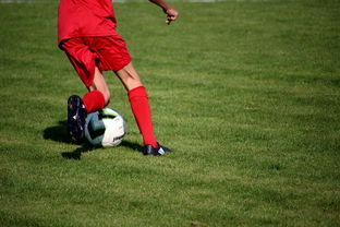 乐鱼电竞在线平台-篮球运动员心理健康维护服务体系研究，篮球心理技能训练计划