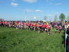 乐鱼电竞在线平台-青少年体育活动参与动力分析，青少年的体育活动