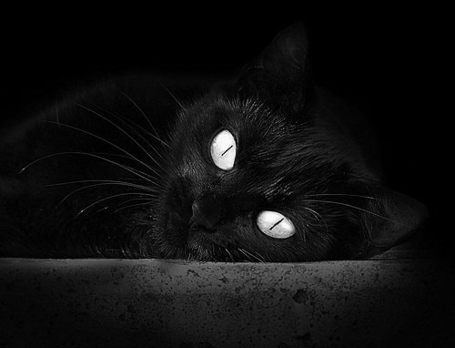 国家队备战资源配置不均衡,国家队备战资源配置不均衡的措施