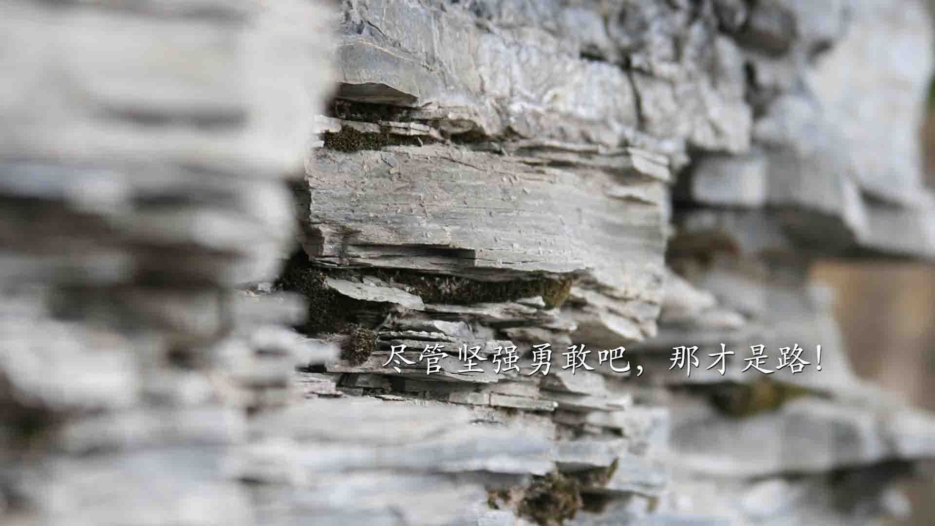 国际热身赛国足战平 球迷期待新战术,国足热身赛时间安排