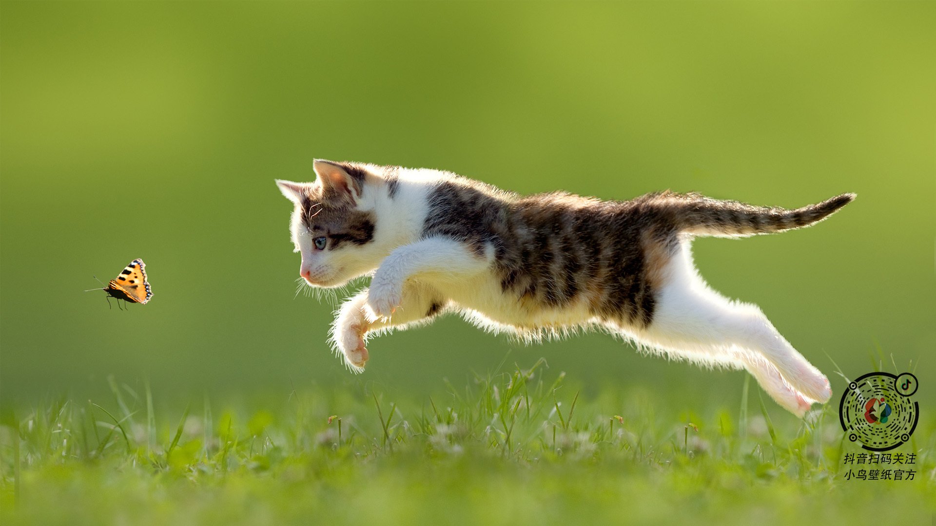 LEYU乐鱼体育官方网站-球员受伤频率是否因战术高强度对抗而升高，球员受伤频率是否因战术高强度对抗而升高