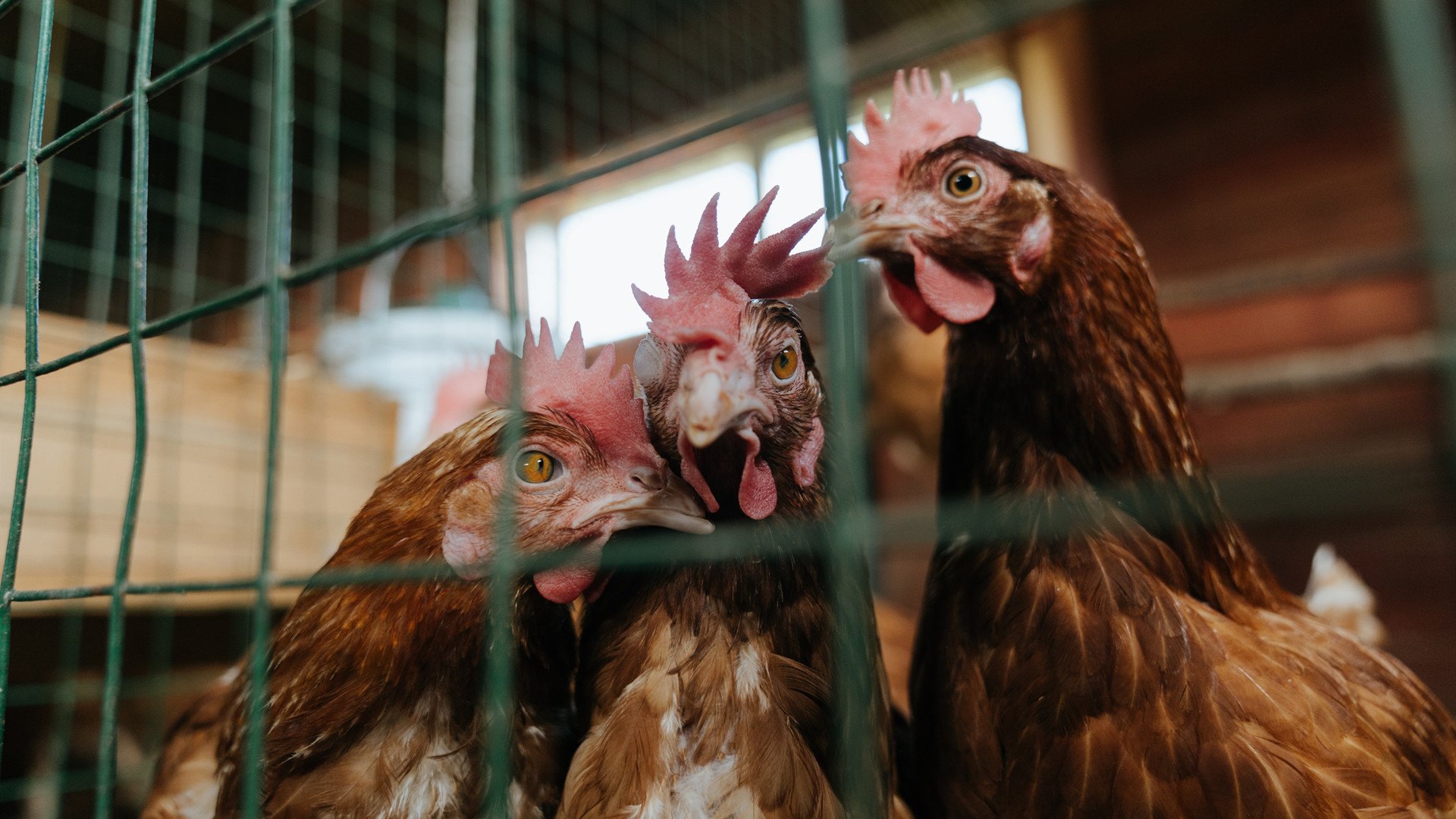 选手赛前热身流程标准化科学备赛成趋势,赛前热身的好处
