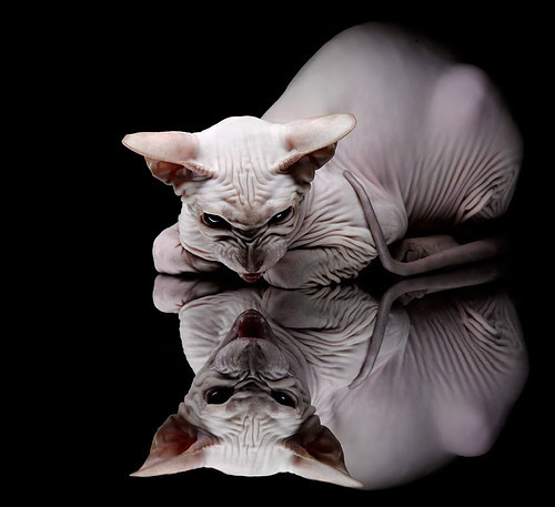 下载乐鱼体育APP-世界杯经典瞬间：一脚定江山的神奇进球，世界杯足球精彩瞬间